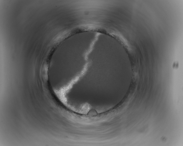 X0000100890022200807221002