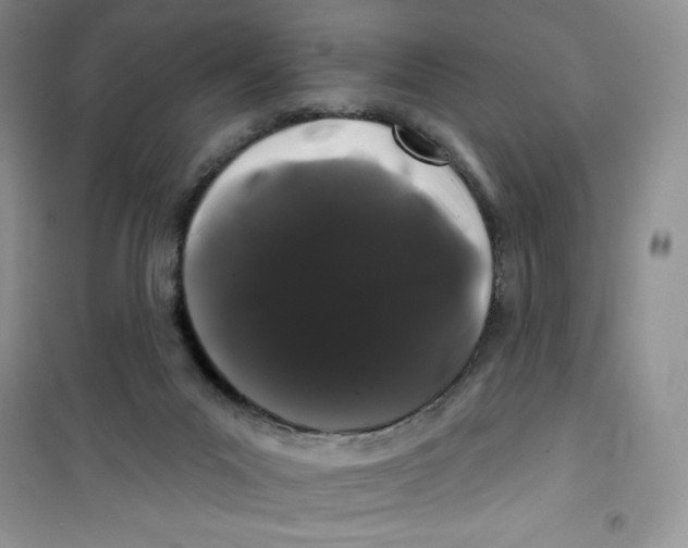 X0000100890023200807221002