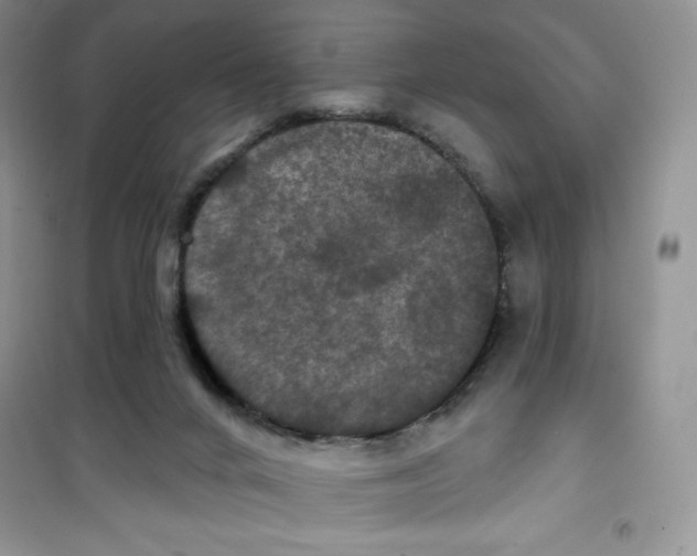 X0000100890024200807221002