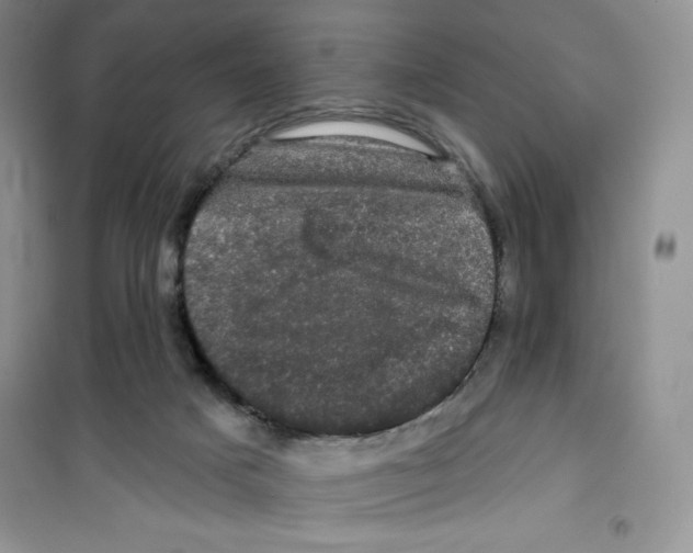 X0000100890025200807221002