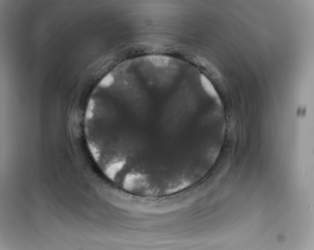 X0000100890026200807221002