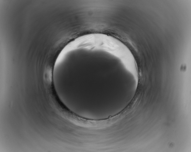 X0000100890027200807221002