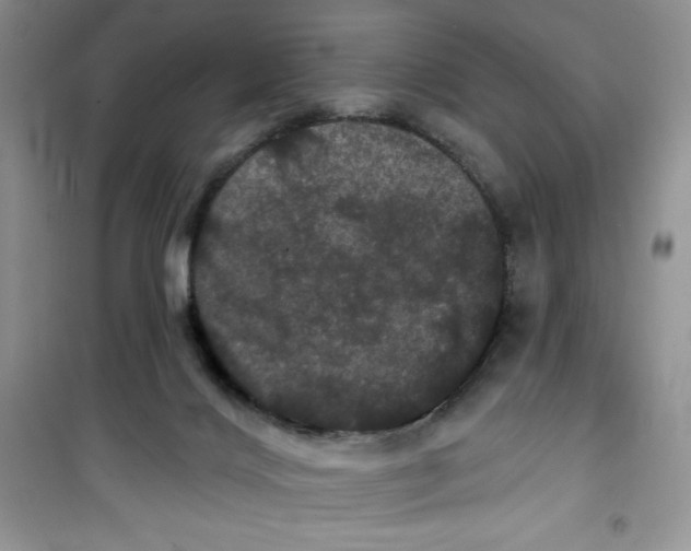 X0000100890028200807221002