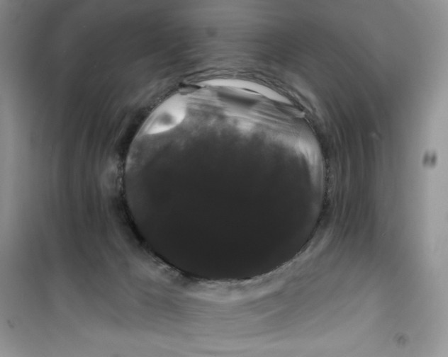 X0000100890029200807221002