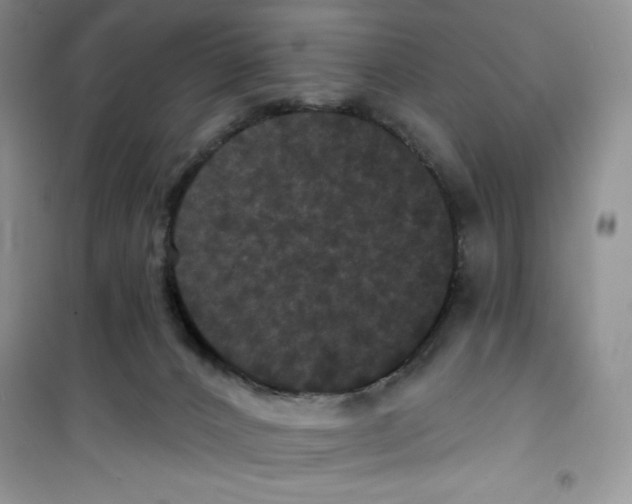 X0000100890032200807221002