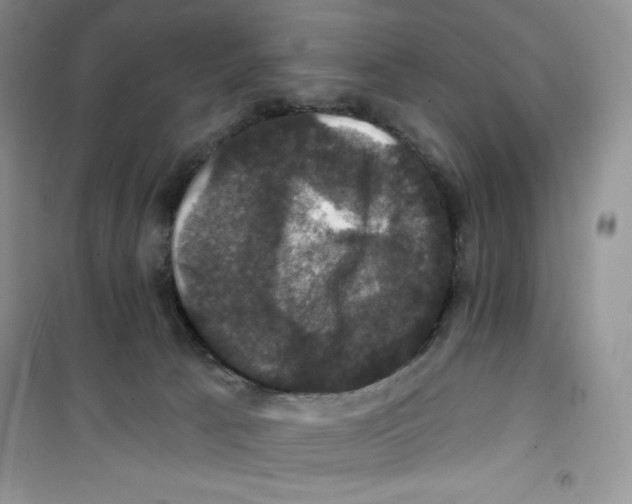 X0000100890033200807221002