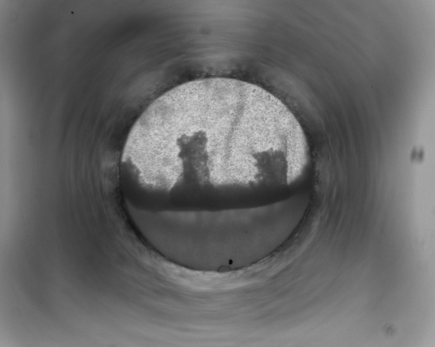 X0000100890034200807221002