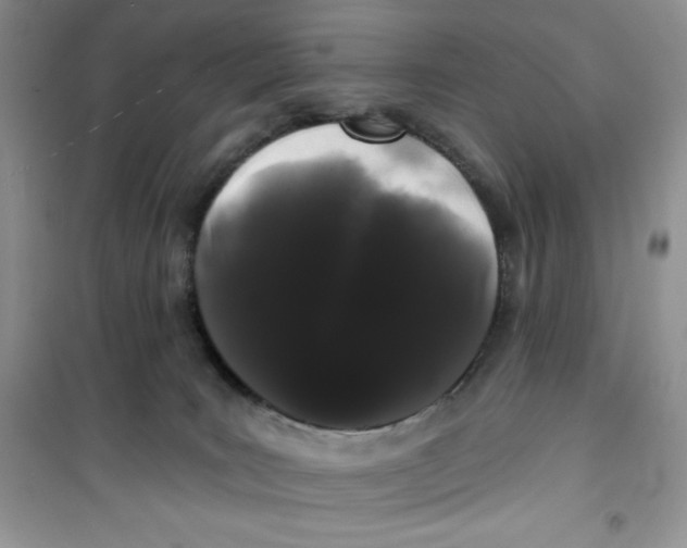 X0000100890035200807221002