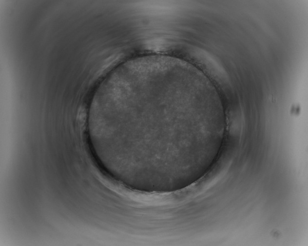 X0000100890036200807221002