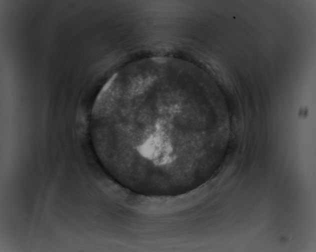 X0000100890037200807221002