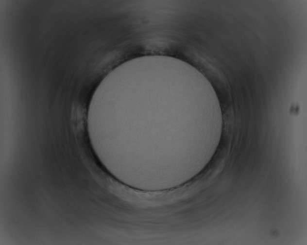 X0000100890038200807221002