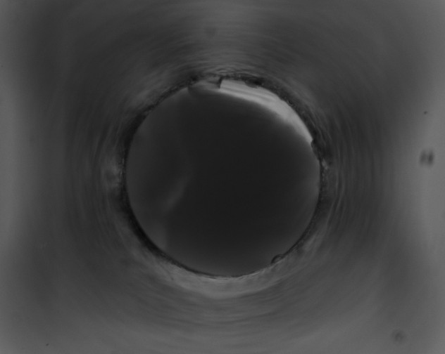 X0000100890039200807221002