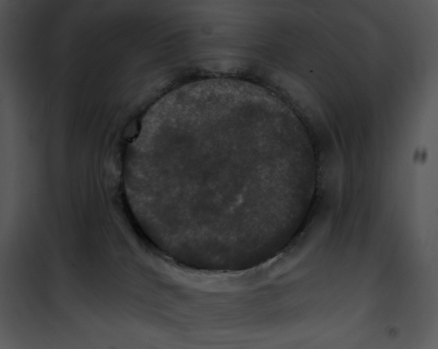 X0000100890040200807221002