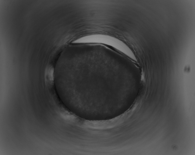 X0000100890041200807221002