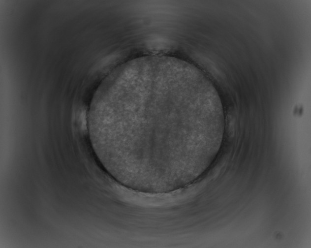 X0000100890042200807221002