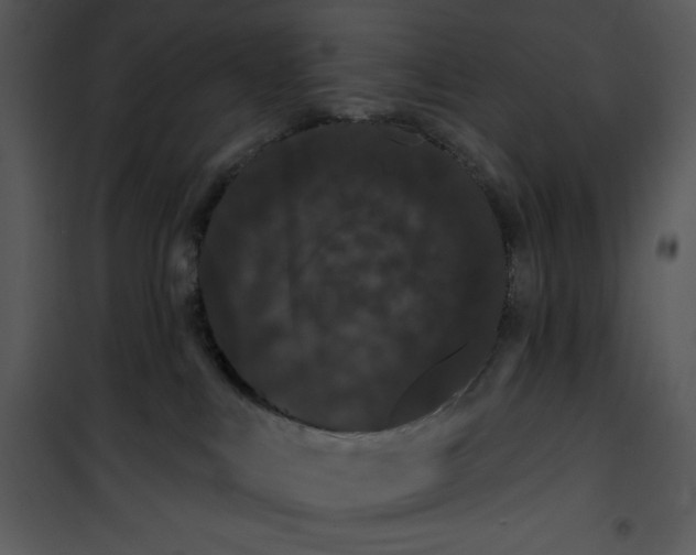 X0000100890043200807221001