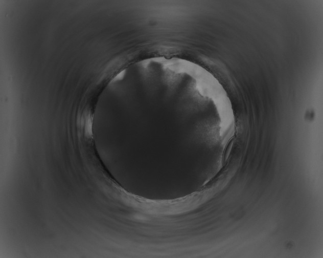 X0000100890046200807221001