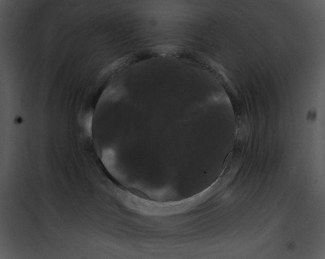 X0000100890047200807221001