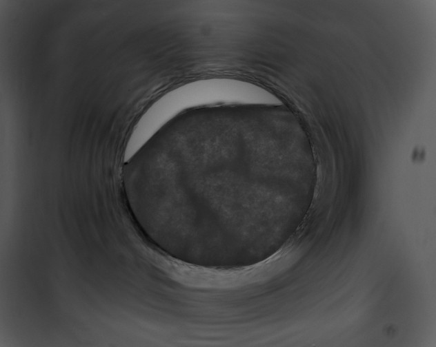 X0000100890048200807221001