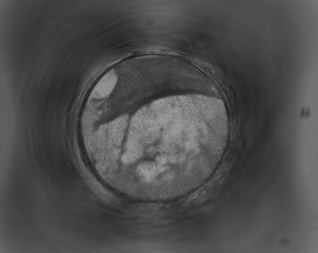 X0000100890049200807221001