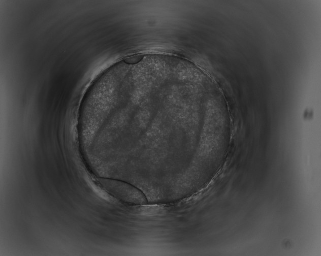 X0000100890050200807221001