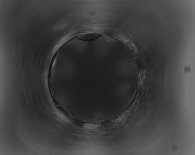 X0000100890051200807221001