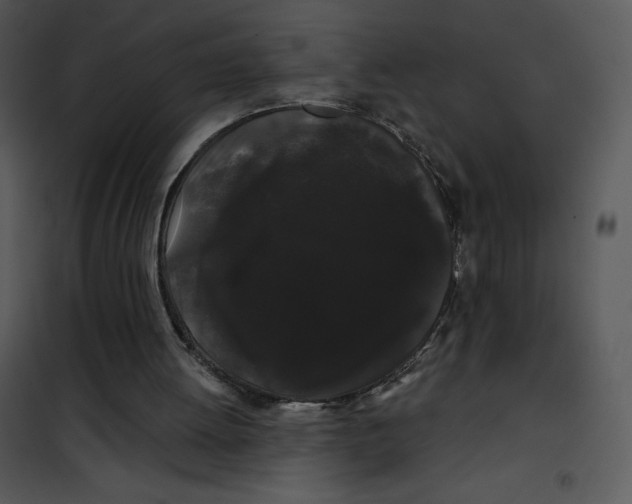 X0000100890052200807221001