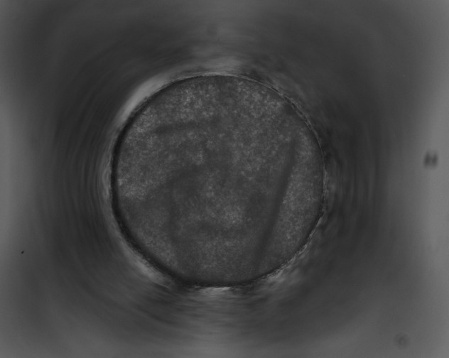 X0000100890054200807221001