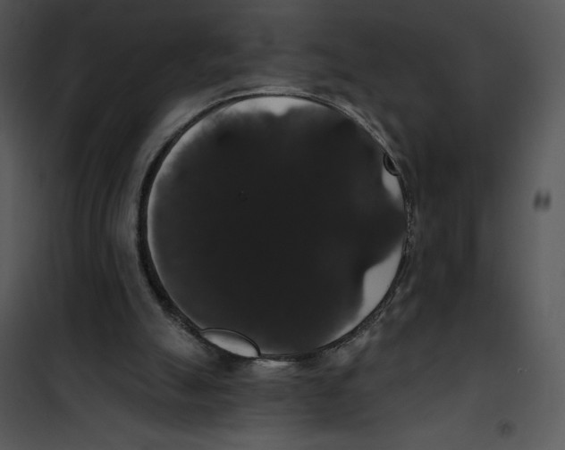 X0000100890055200807221001