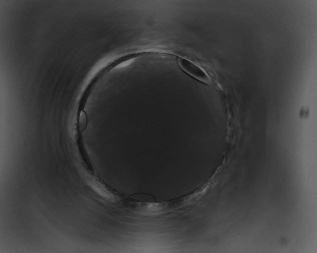 X0000100890056200807221001