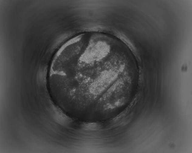 X0000100890058200807221001