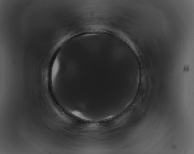 X0000100890059200807221001