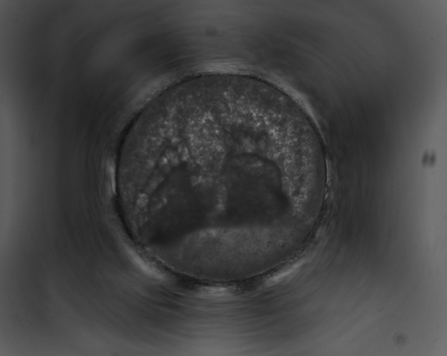 X0000100890061200807221001