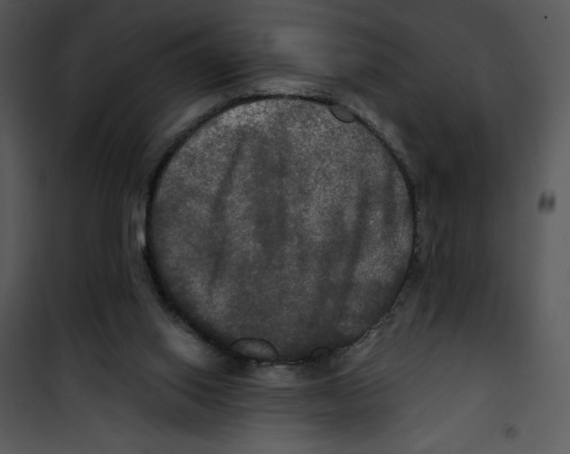 X0000100890062200807221001