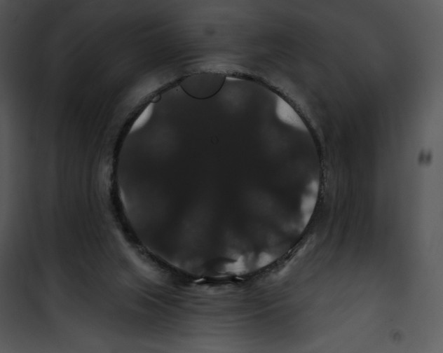 X0000100890063200807221001