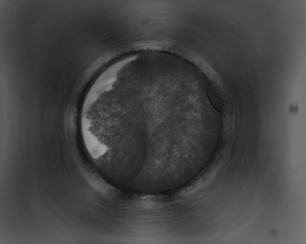 X0000100890064200807221001