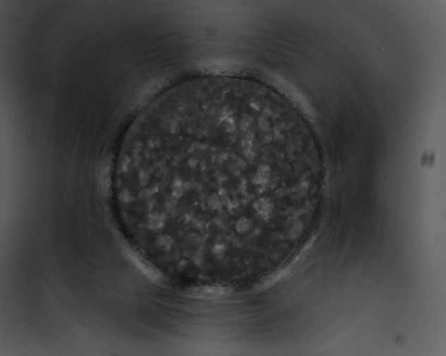 X0000100890065200807221001