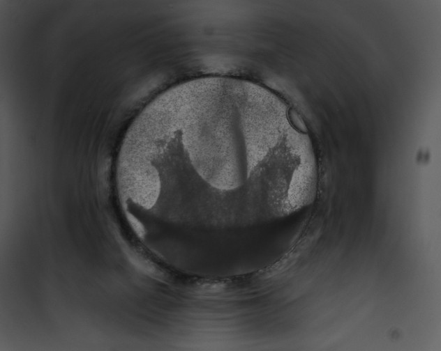 X0000100890066200807221001