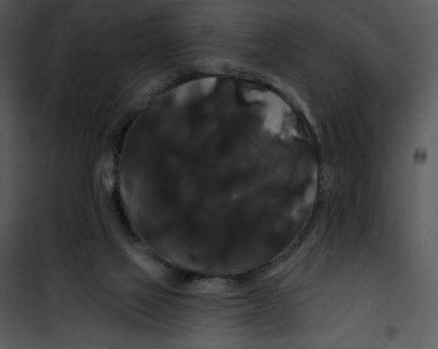 X0000100890069200807221001