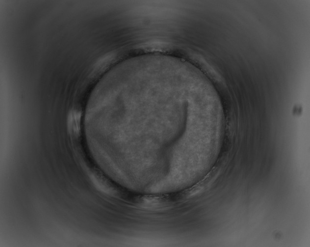 X0000100890070200807221001