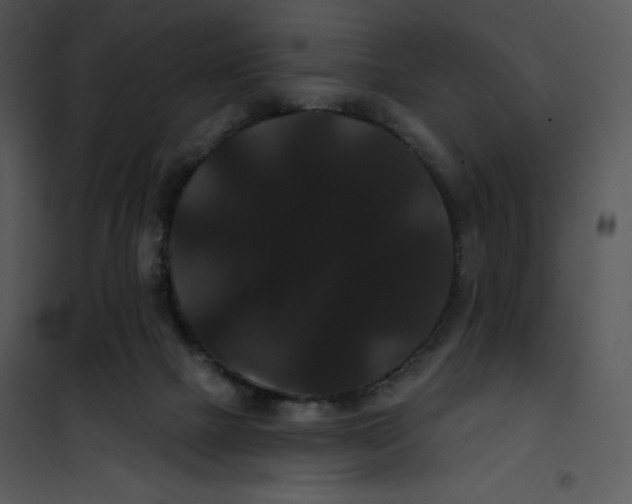 X0000100890073200807221001