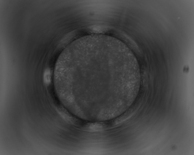 X0000100890075200807221001