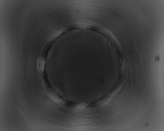 X0000100890076200807221001