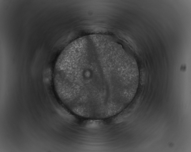 X0000100890077200807221001