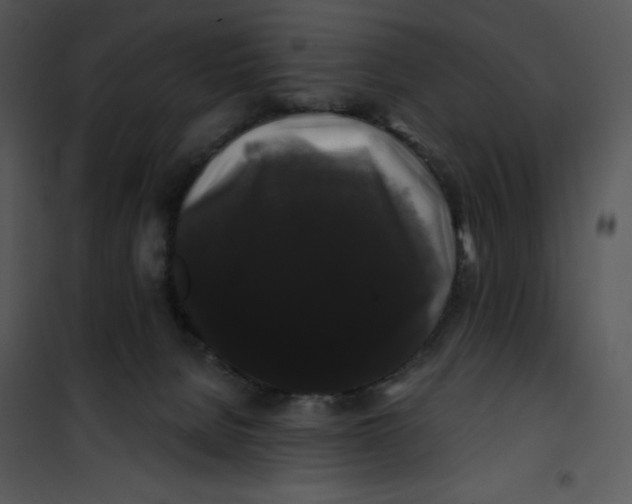 X0000100890080200807221001