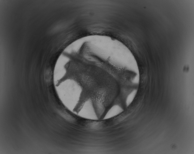 X0000100890081200807221001