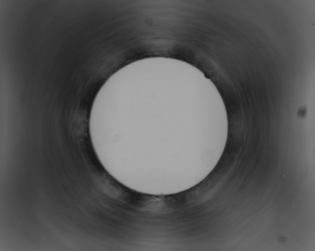 X0000100890083200807221001