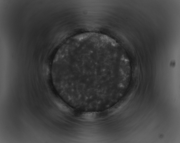 X0000100890084200807221001