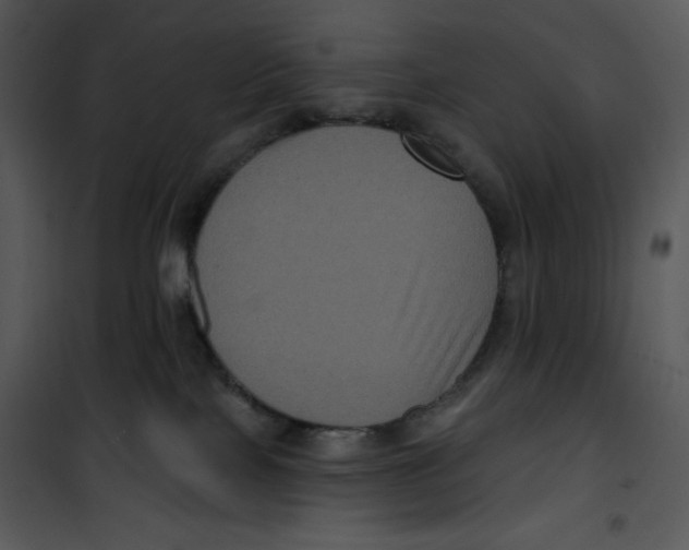 X0000100890089200807221001