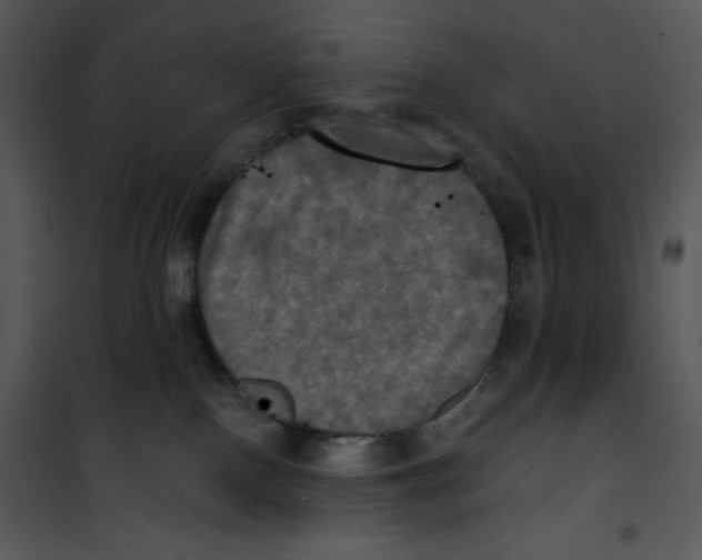 X0000100890090200807221001